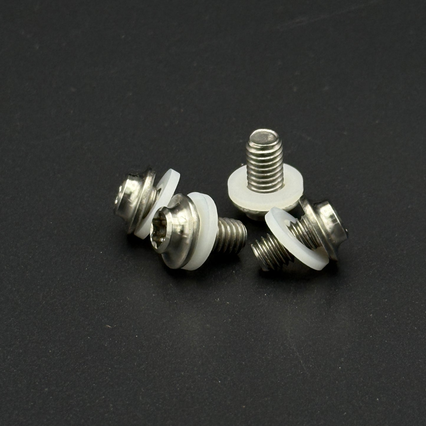 License Plate screws